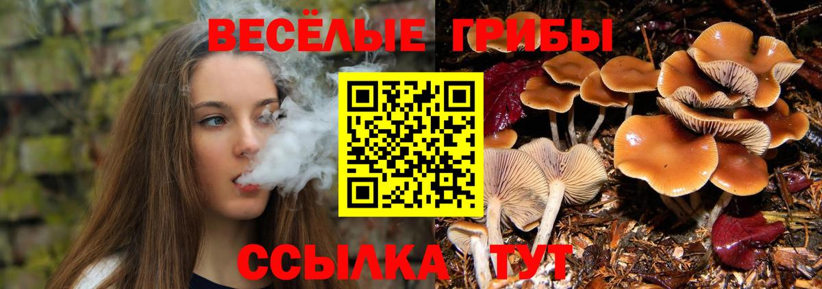 Псилоцибиновые грибы Magic Shrooms Волжский
