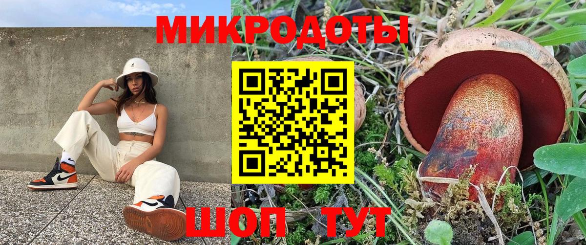 Галлюциногенные грибы Psilocybine cubensis  Вход с VPN  Волжский  Галлюциногенные грибы мицелий 